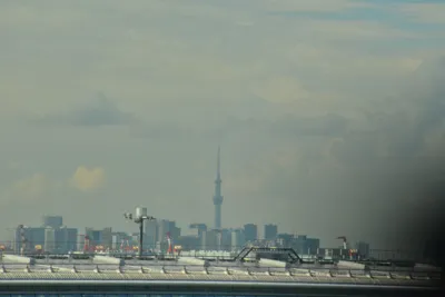 DSC_4043 (Large).JPG